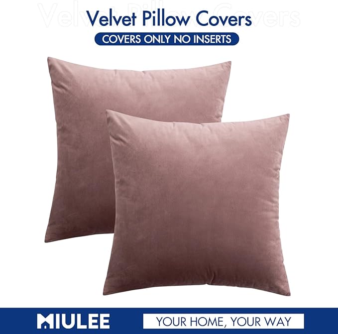 MIULEE Pack of 2 Decorative Velvet Pillow Covers Soft Square Throw Pillow Covers Solid Cushion Covers Jam Pillow Cases for Spring Sofa Bedroom Car 16x16 Inch 40x40 Cm