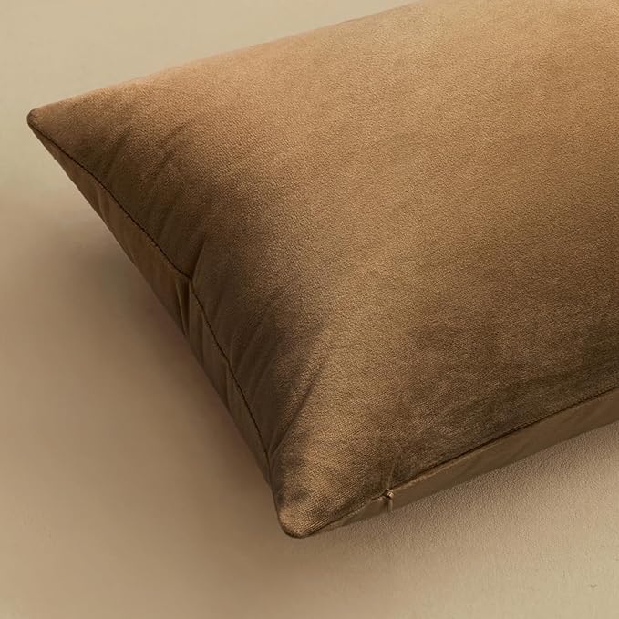 MIULEE Velvet Throw Pillow Covers 24x24 Inch, Pack of 2 - Chocolate,Super Soft Decorative Square Euro Cushion Cases Modern Luxury Home Decor for Bed,Bedroom, Sofa, Couch