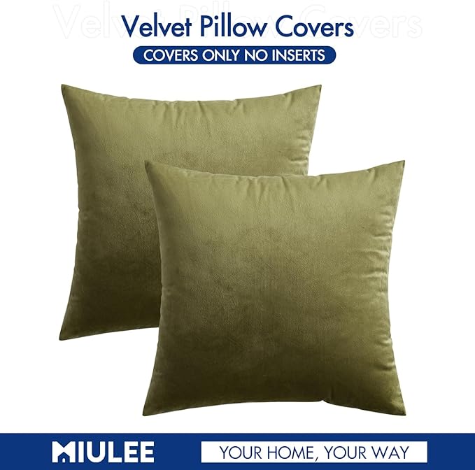 MIULEE Pack of 2 Olive Green Pillow Covers 16x16 Inch Decorative Velvet Throw Pillow Covers Modern Soft Couch Throw Pillows Farmhouse Home Decor for Spring Sofa Bedroom Living Room