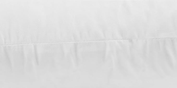 JA COMFORTS 28×28 Premium Goose Down Feather Throw Pillow Inserts(Set of 1)-5% Down Filling,High Filling Weight,250 TC Cotton Cover, Square, White