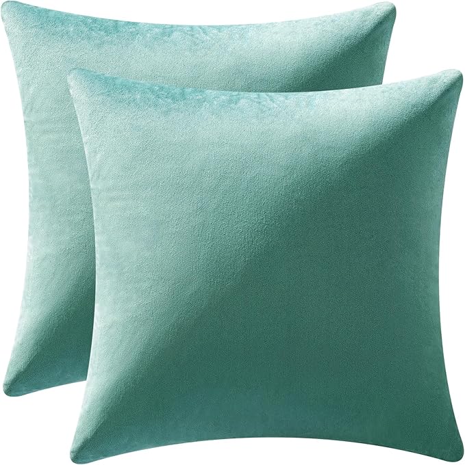 MIULEE Pack of 2, Velvet Soft Solid Decorative Square Throw Pillow Covers Set Cushion Case for Spring Sofa Bedroom Car 20x20 Inch 50x50 Cm Aqua Green