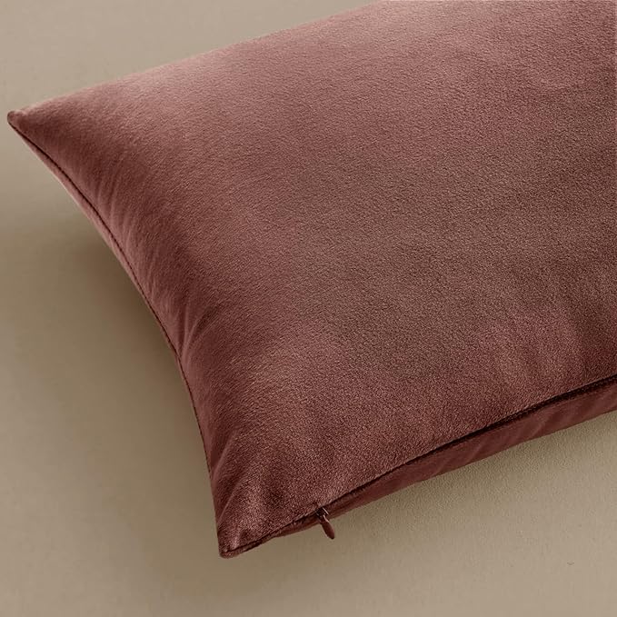 MIULEE Pack of 2 Decorative Velvet Pillow Covers Soft Square Throw Pillow Covers Solid Cushion Covers Jam Pillow Cases for Spring Sofa Bedroom Car 18x18 Inch 45x45 Cm