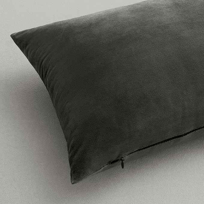 MIULEE Pack of 2 Velvet Pillow Covers Decorative Square Pillowcase Soft Solid Cushion Case for Sofa Bedroom Car 16 x 16 Inch Dark Grey