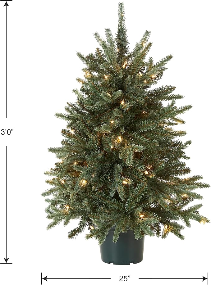 National Tree Company Artificial Christmas Tree For Entrances | Includes White Lights and Pot | Everyday Collections - 3 ft