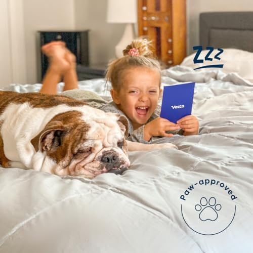 Vesta Heavyweight Silk Comforter, Overfilled Duvet Insert for Cold Sleepers & Winter, 100% Silk Fill with 100% Cotton Shell, Moisture-Wicking, King Size (Grey, Silk Weight: 5.3lbs)