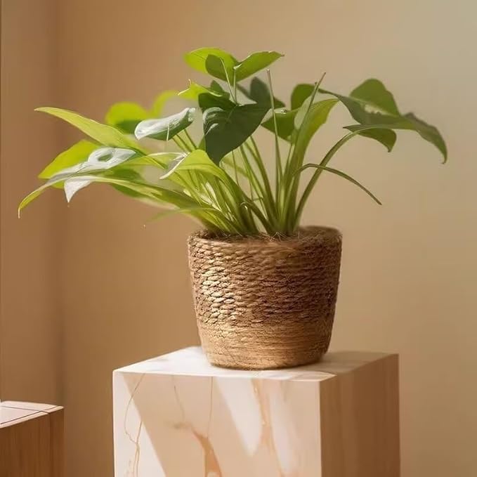 Kerio Seagrass Planter Basket Hand-Woven Flower Pots Cover Plant Containers Plant Baskets for Indoor Outdoor, M