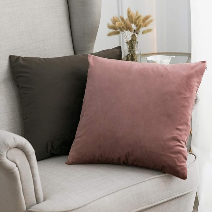 MIULEE Pack of 2 Decorative Velvet Pillow Covers Soft Square Throw Pillow Covers Solid Cushion Covers Jam Pillow Cases for Spring Sofa Bedroom Car 16x16 Inch 40x40 Cm