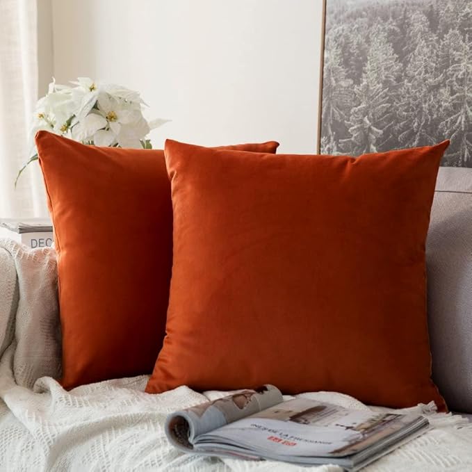 MIULEE Pack of 2 Burnt Orange Velvet Throw Pillow Covers 22x22 Inch Soft Solid Fall Decorative Square Set Fall Cushion Case Home Decor for Couch Sofa Bedroom