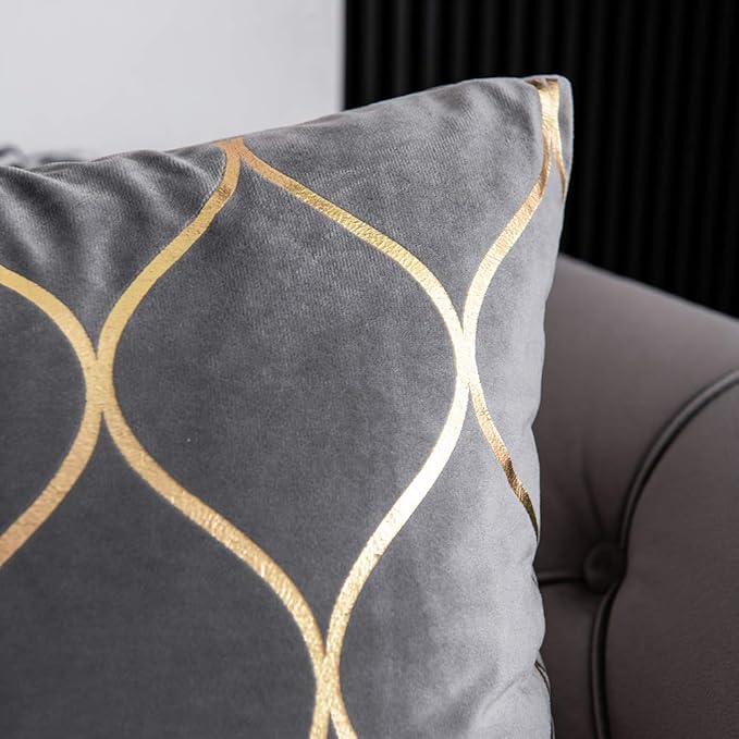 Gold Velvet Throw Pillow Covers: 2 Pack 16x16 Inch Square Decorative Pillow Cases for Bedroom Sofa Couch Living Room, Light Grey