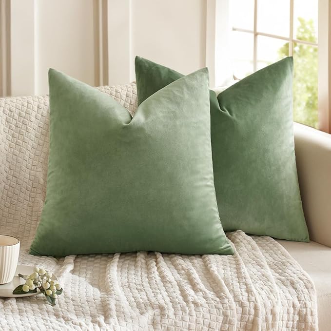 MIULEE 24x24 Inch Euro Sham Velvet Pillow Covers, Set of 2 Large Square Decorative Pillows -Sage Green Super Soft for King Bed, Sofa, Couch, Accent Chairs with Hidden Zipper