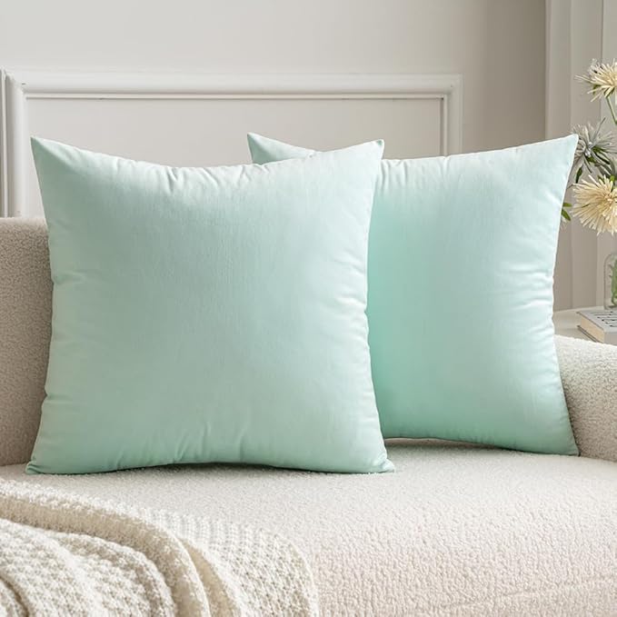 MIULEE Pack of 2 Mint Green Velvet Throw Pillow Covers 18x18 Inch Soft Solid Decorative Square Set Cushion Cases for Spring Couch Sofa Bedroom