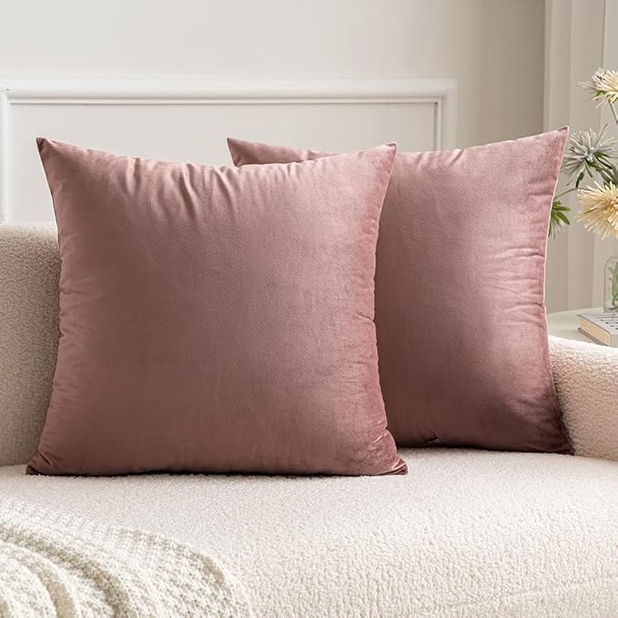 MIULEE Pack of 2 Decorative Velvet Pillow Covers Soft Square Throw Pillow Covers Solid Cushion Covers Jam Pillow Cases for Spring Sofa Bedroom Car 16x16 Inch 40x40 Cm