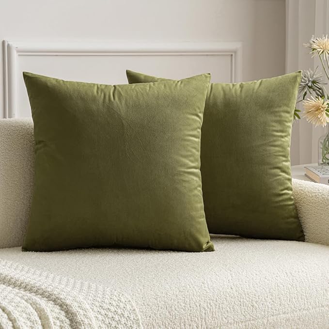 MIULEE Pack of 2 Olive Green Pillow Covers 20x20 Inch Decorative Velvet Throw Pillow Covers Modern Soft Couch Throw Pillows Farmhouse Home Decor for Spring Sofa Bedroom Living Room