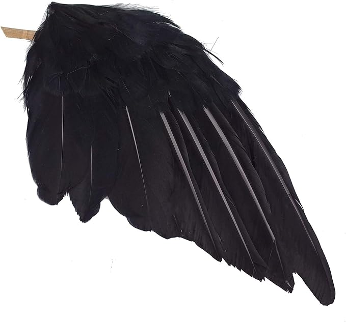Etistta 2-Pack Realistic Crows Lifesize Extra Large Handmade Black Feathered Crow for Halloween Decorations Birds, L (13 inch+12 inch)