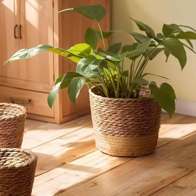 Kerio Seagrass Planter Basket Hand-Woven Flower Pots Cover Plant Containers Plant Baskets for Indoor Outdoor, L