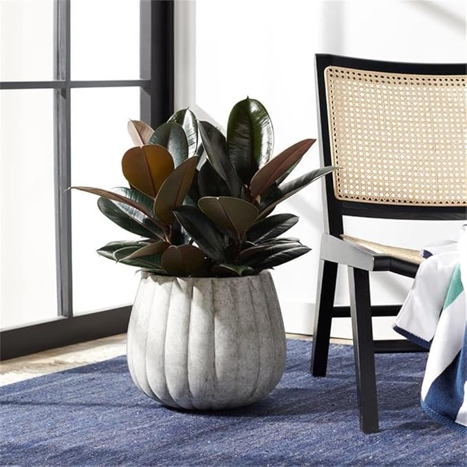 SAFAVIEH Outdoor Collection Kaston Light Grey Concrete Planter (Fully Assembled)