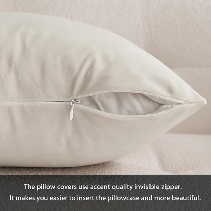 MIULEE Pack of 2 Velvet Soft Solid Decorative Square Throw Pillow Covers Set Christmas Cushion Case for Spring Couch Sofa Bedroom Car 12x20 Inch 30x50 cm Cream White