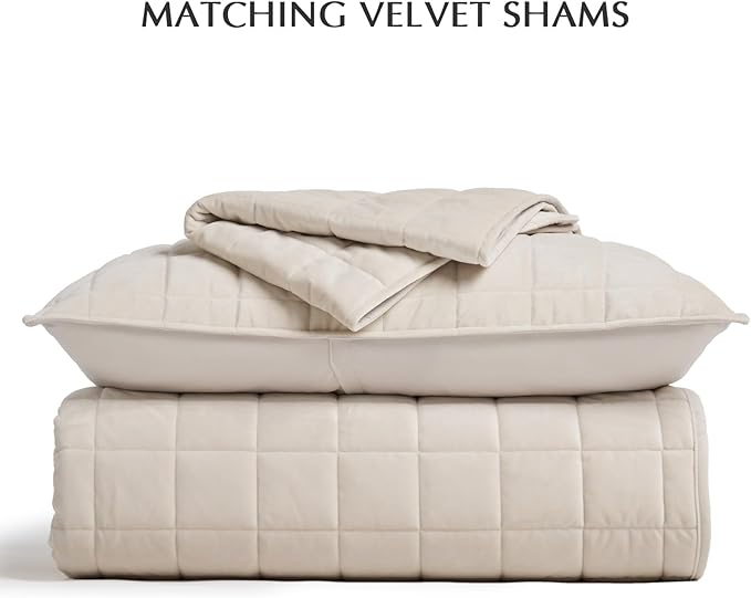 EVERGRACE Pearl Velvet Quilt Full Queen Size Bedding Sets, Luxurious Soft Velvet Comforter Set, Lightweight Box Stitching Oversized Bedspread Coverlet for All Season, with 2 Shams, Birch