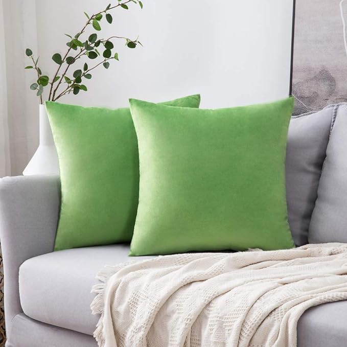 MIULEE Pack of 2 Velvet Pillow Covers Decorative Square Pillowcase Soft Solid Cushion Case for Spring Sofa Bedroom Car 18x18 Inch Lime Green