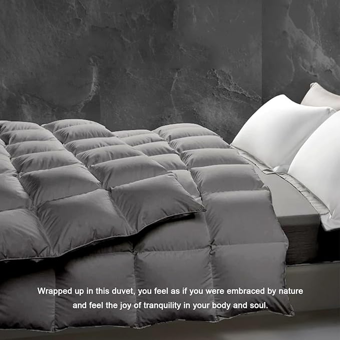 Luxury Down Fiber Comforter Queen Size Duvet Insert Fluffy & Comfortable Gray - Queen Size (90 "X 90")