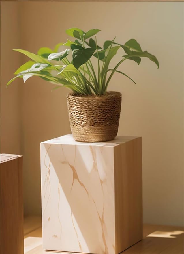 Kerio Seagrass Planter Basket Hand-Woven Flower Pots Cover Plant Containers Plant Baskets for Indoor Outdoor, L