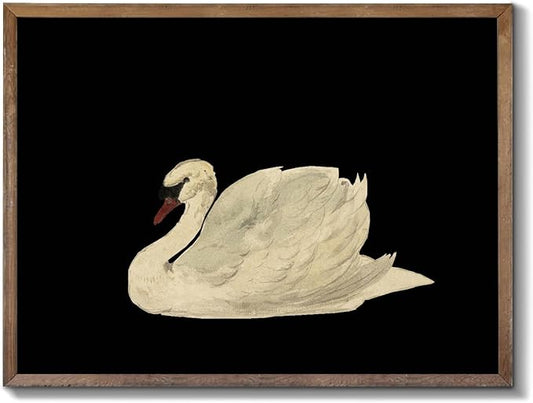 XOCUUI Vintage Swan Canvas Wall Art for Living Room, Vintage Home Decor Animal Oil Painting Summer Room Decor Bathroom Wall Decor, Swan Black And White Wall Art Prints - 11" X 14" - Unframed