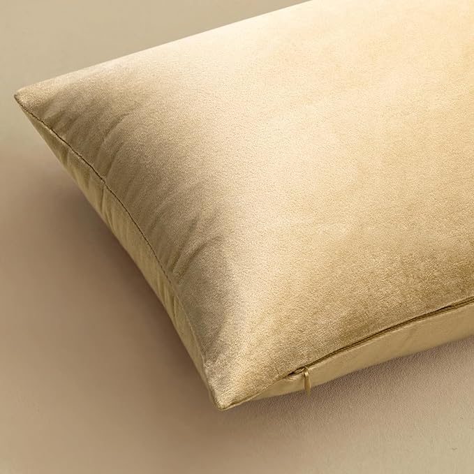 MIULEE Pack of 2 Velvet Soft Solid Decorative Square Throw Pillow Covers Set Cushion Case for Spring Sofa Bedroom Couch 20x20 Inch Beige