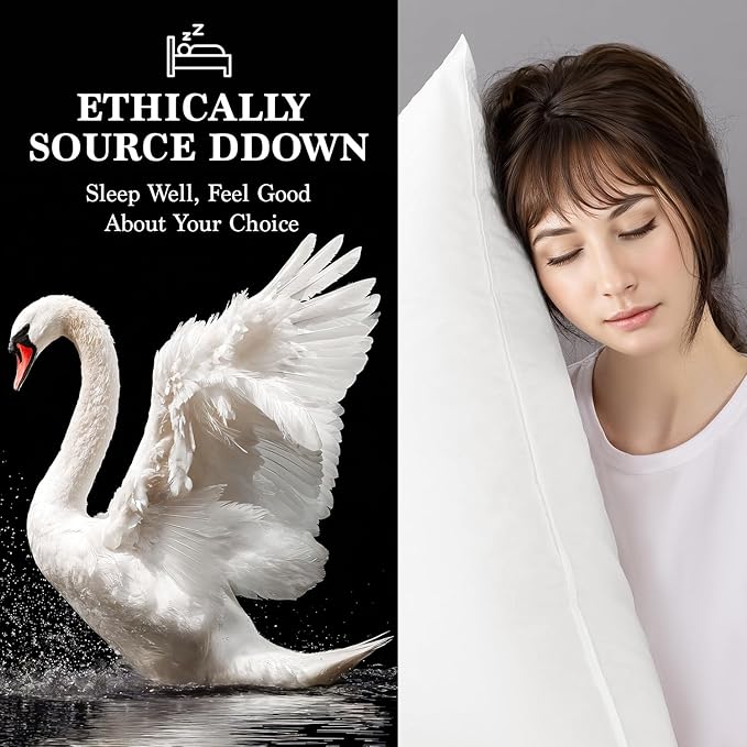 Shilucheng Goose Down Pillow Queen Size Set of 1 Pack,900+ Fill Power Luxury Hotel Quality Bed Feather Pillow for Side Back Stomach Sleepers, Soft 100% Cotton Shell（White,20" x 30"）
