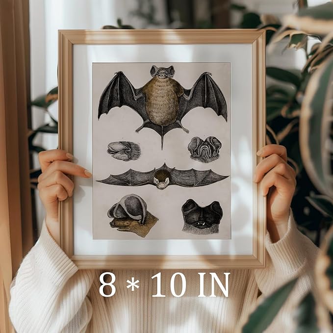 uniro Retro Bats Wall Decor Bats Wall Art Canvas Print,Vintage Hipster Gothic Wall Decor - Gift for Gothic, Horror, Vampire Fans Creepy Scary Anatomical Picture Poster for Home Living Room Office