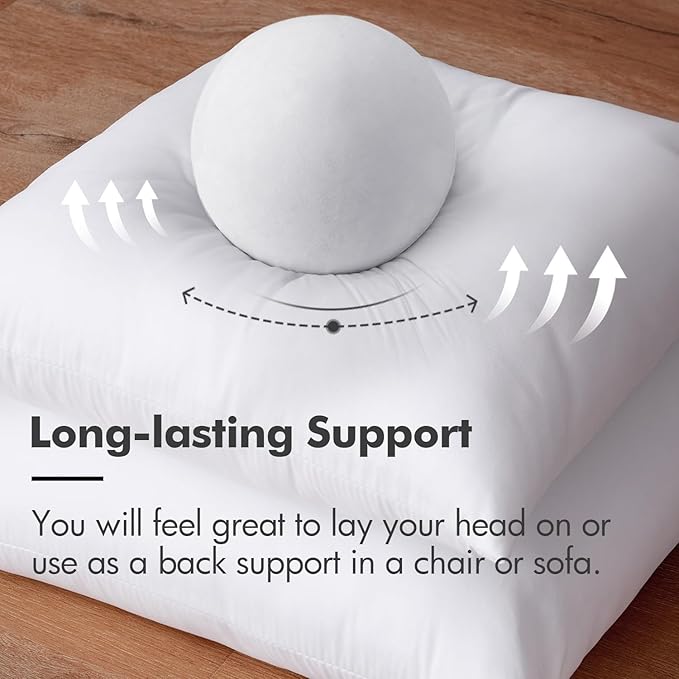 MIULEE Throw Pillow Insert Premium Pillow Stuffer Sham Rectangle for Decorative Cushion Bed Couch Sofa 15x15 Inch