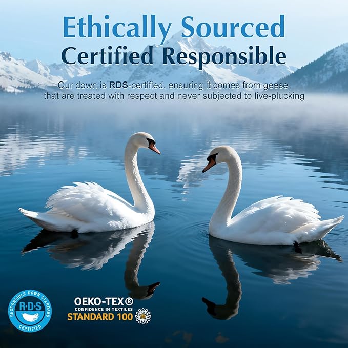 Luxury Goose Feather Down Pillows Queen Size Set of 2, 3-Chamber 5 Star Hotel Pillow for Deep Sleep, Soft Bed Pillows for Neck Pain Relief, Perfect for Side, Back Sleepers - 20"x30"