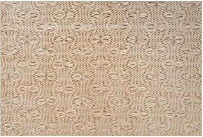 Modern Beige Non Slip Door Mat 2x3 Non Skid Soft Rubber Back Door Mat for Entryway Kitchen Rug for Bathroom Mat Easy Cleaning Stain Resistant Non Shedding Carpet 2 x 3