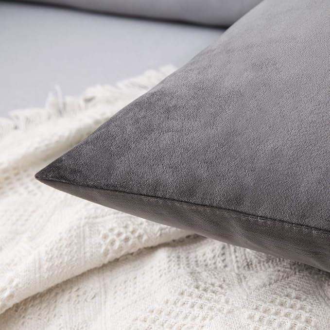 MIULEE Pack of 2 Velvet Pillow Covers Decorative Square Pillowcase Soft Solid Cushion Case for Sofa Bedroom Car 12 x 20 Inch Dark Grey