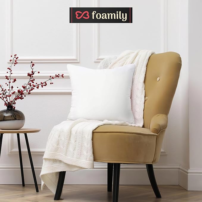Foamily Throw Pillows Insert 24 x 24 Inches Hypoallergenic, Made in USA - Euro Sham Decorative Couch, Bed Pillow