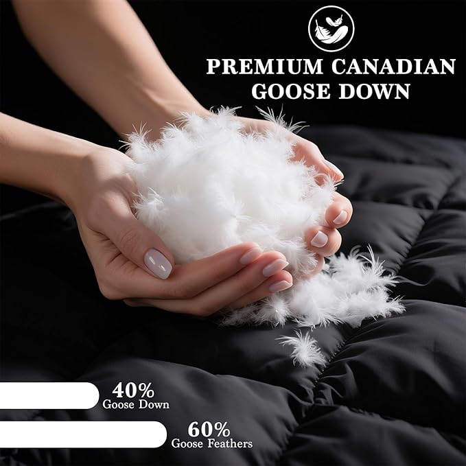 Shilucheng Goose Down Pillow Queen Size Set of 2 Pack,900+ Fill Power Luxury Hotel Quality Bed Feather Pillow for Side Back Stomach Sleepers, Soft 100% Cotton Shell（White,20" x 30"）