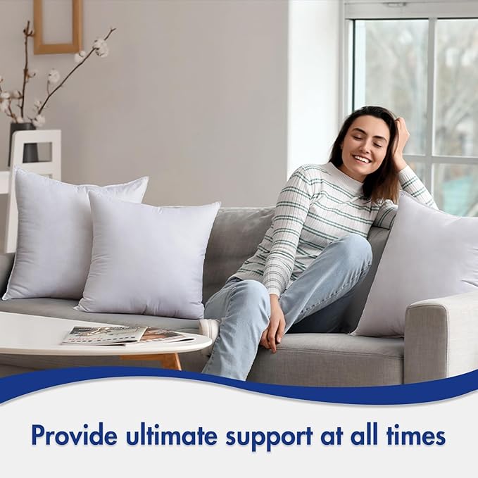 MIULEE 28x28 Down Alternative Pillow Insert Euro Decorative Throw Pillow 28 x 28 Inch Body Bed Sleeping Ultra Soft Fluffy Form for Sofa Couch Bed