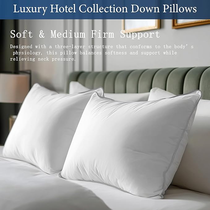 SANSWAN Luxury Goose Feathers Down Pillows Queen Size Set of 2 with Two-Sided Pillowcase, Hypoallergenic Hotel Quality Medium Firm Bed Pillow for Back,Stomach or Side Sleepers
