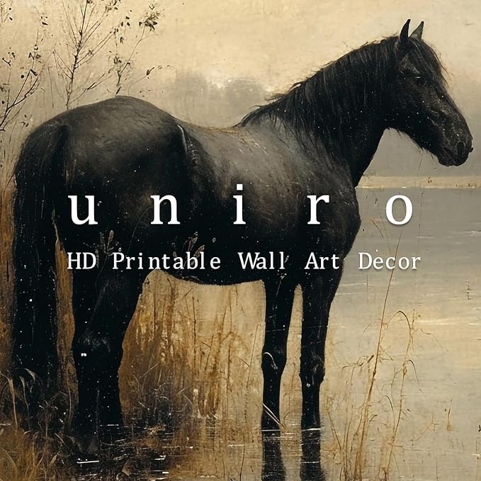 uniro Black Horse Vintage Wall Art Moody Landscape Prints Retro Wall Art Lake Dark Cottagecore Art Foggy Rustic Wall Decor DarkMoodyWallArt