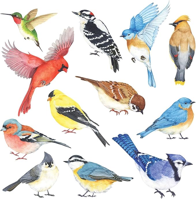 DECOWALL DS2-8042 Little Birds Wall Stickers Wall Decals Peel and Stick Removable Wall Stickers for Kids Nursery Bedroom Living Room (Small)