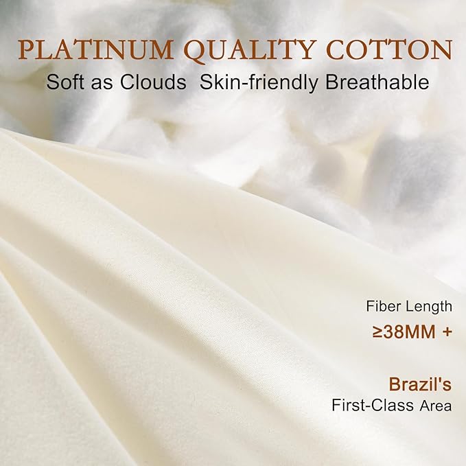 YOUR MOON Organic Wool Pillow Queen Size Set of 2, Soft Support Bed Pillows for Sleeping, Natural Wool & Down Alternative Filling, Luxury Hotel Quality Pillows,100% Cotton Cover (Off White)