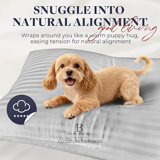 Basic Beyond Pillows Queen Size Set of 2 - Soft Down Alternative Pillows Set of 2 for Back, Stomach or Side Sleepers, Silver, 20x28 Inches
