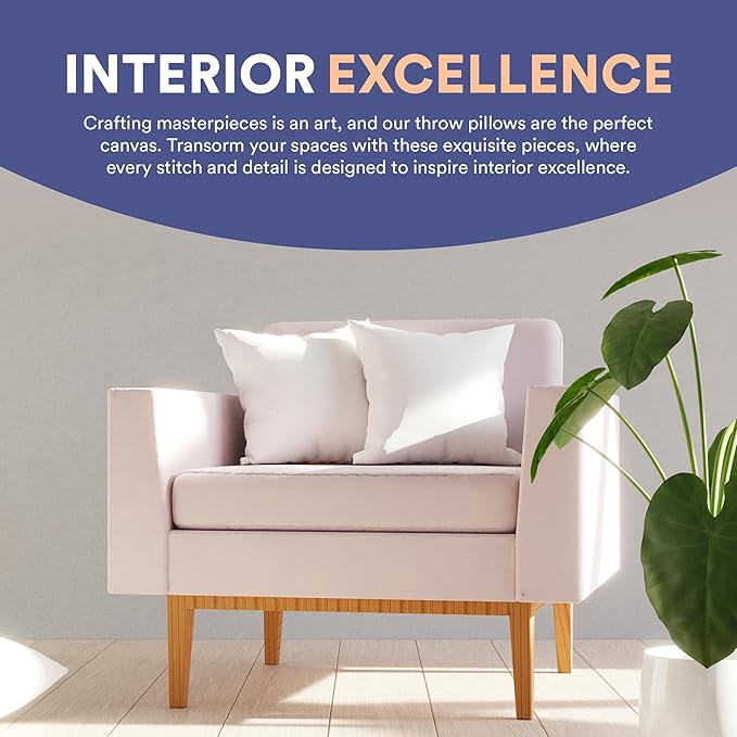 Continental Bedding | 10/90 Down and Feather Throw Pillow Insert | 100% Cotton 250TC Shell | Medium Loft Decorative Cushion | 24x24 | 1 Pack