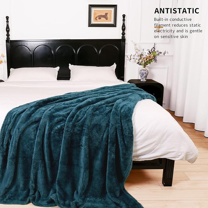Plush Fleece Throw Blanket for Couch and Bed, Fluffy Fuzzy Cozy Queen-Size Soft Blankets All Season Use (60x80 Inches,Teal)