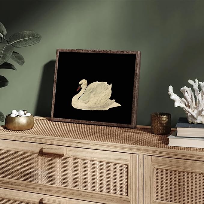 XOCUUI Vintage Swan Canvas Wall Art for Living Room, Vintage Home Decor Animal Oil Painting Summer Room Decor Bathroom Wall Decor, Swan Black And White Wall Art Prints - 11" X 14" - Unframed