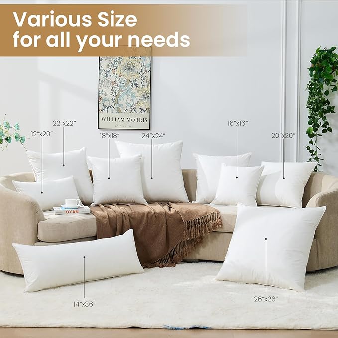 BHZ Throw Pillows 12x20 Euro Pillow Inserts Set of 2, Down Feather Alternative Pillow Inserts, Decorative Soft Large Square White Throw Pillows Insert for Couch Bed Dorm Sofa with Cotton Cover