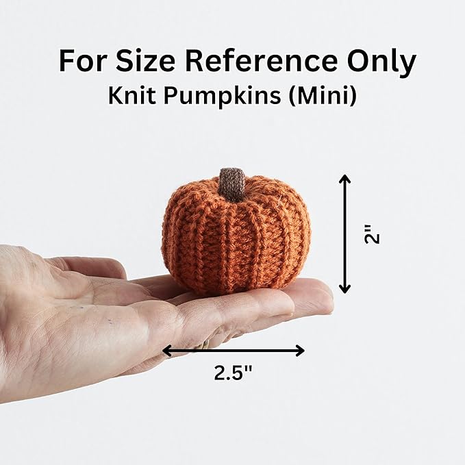 Your Heart's Content MINI Knit Pumpkins Set of 5, Fall Favorite, Gifts for Women, Autumn Bowl fillers Fall Farmhouse Tier Tray Decor, Decorative Pumpkins for Friend (Autumn Set)