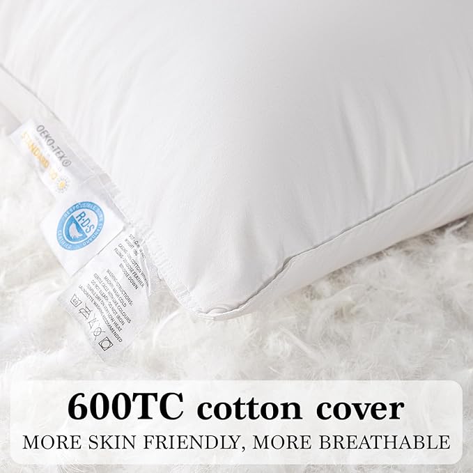 Shilucheng Goose Down Pillow Queen Size Set of 1 Pack,900+ Fill Power Luxury Hotel Quality Bed Feather Pillow for Side Back Stomach Sleepers, Soft 100% Cotton Shell（White,20" x 30"）