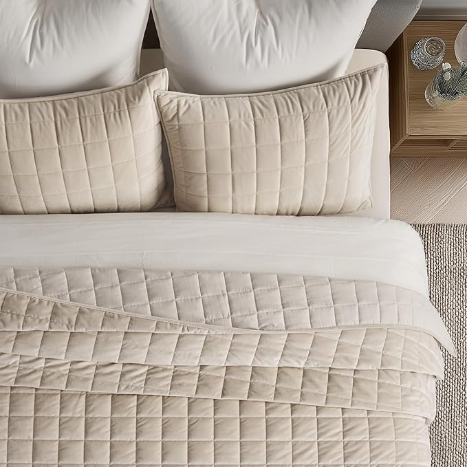 EVERGRACE Pearl Velvet Quilt Full Queen Size Bedding Sets, Luxurious Soft Velvet Comforter Set, Lightweight Box Stitching Oversized Bedspread Coverlet for All Season, with 2 Shams, Birch