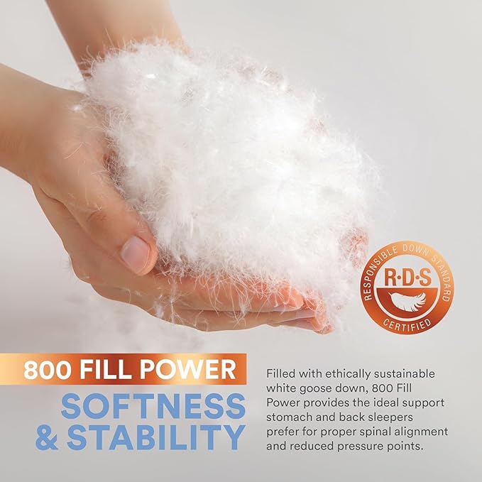 100% Siberian Goose Down Pillow Father's Day Dream Ensemble - Soft Standard Size, Pack of 1 - Soft and Luxurious Siberian Down Pillow for Sleeping, 800 Fill Power - Includes Pillow Protector
