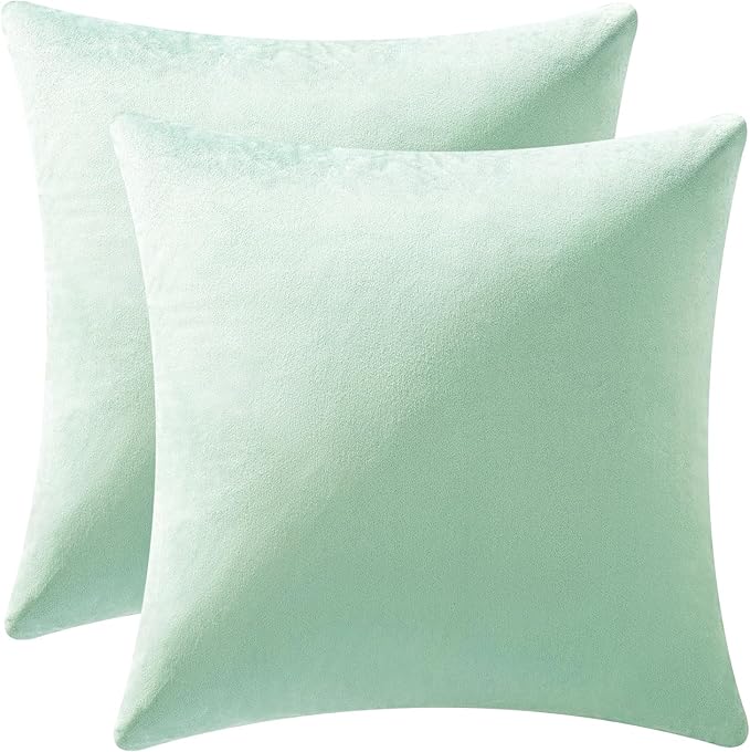 MIULEE Pack of 2 Mint Green Velvet Throw Pillow Covers 18x18 Inch Soft Solid Decorative Square Set Cushion Cases for Spring Couch Sofa Bedroom